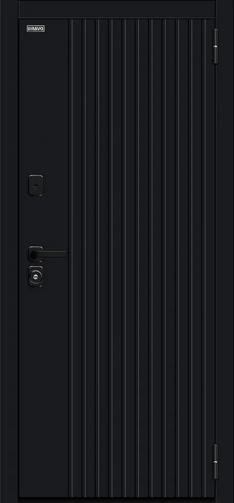 Фото Дверь Вижн/SBlack Black Shell/White Silk BR6251